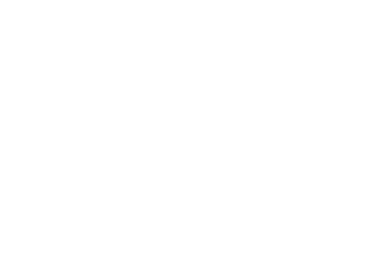 A handshake.